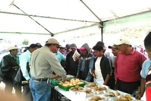 ICTA promueve cultivares en feria de la papa